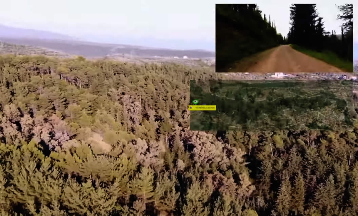 Αγρίνιο, απόδραση μέσα στο δάσος του Aγίου Χριστοφόρου (βίντεο)