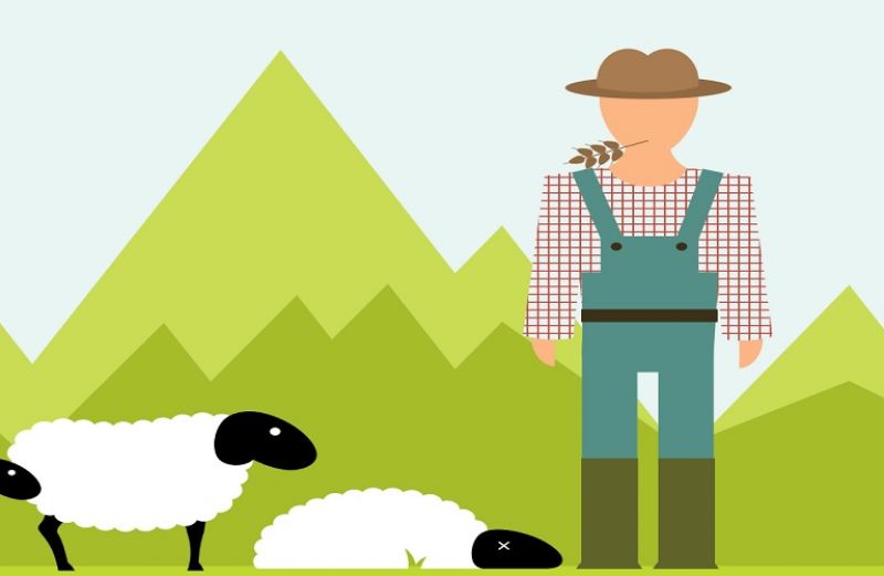 Επιχειρησιακές Ομάδες – Μετατρέποντας την ιδέα σας σε καινοτομία