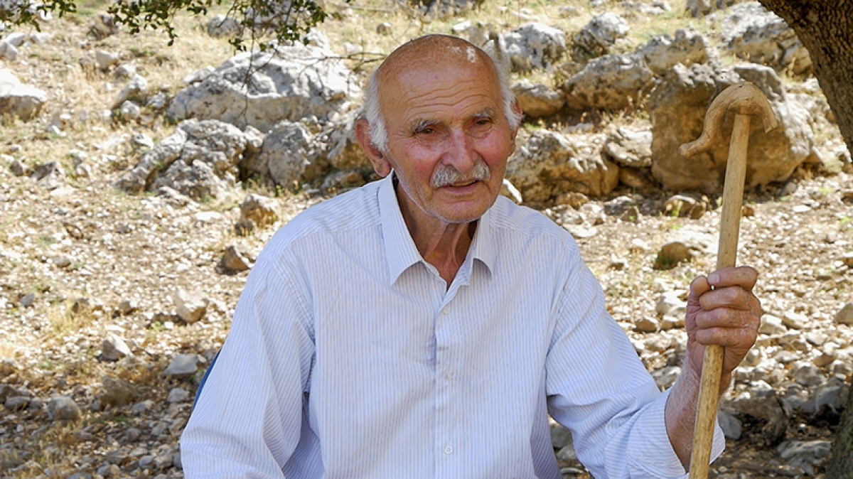 Η ιστορία του παππού Κώστα και η αγάπη του για την κτηνοτροφία στον ορεινό Βάλτο (βίντεο)