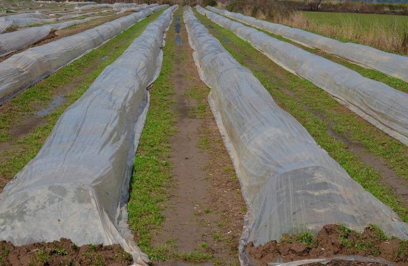 Πρόσκληση Γεωργικών Συμβούλων