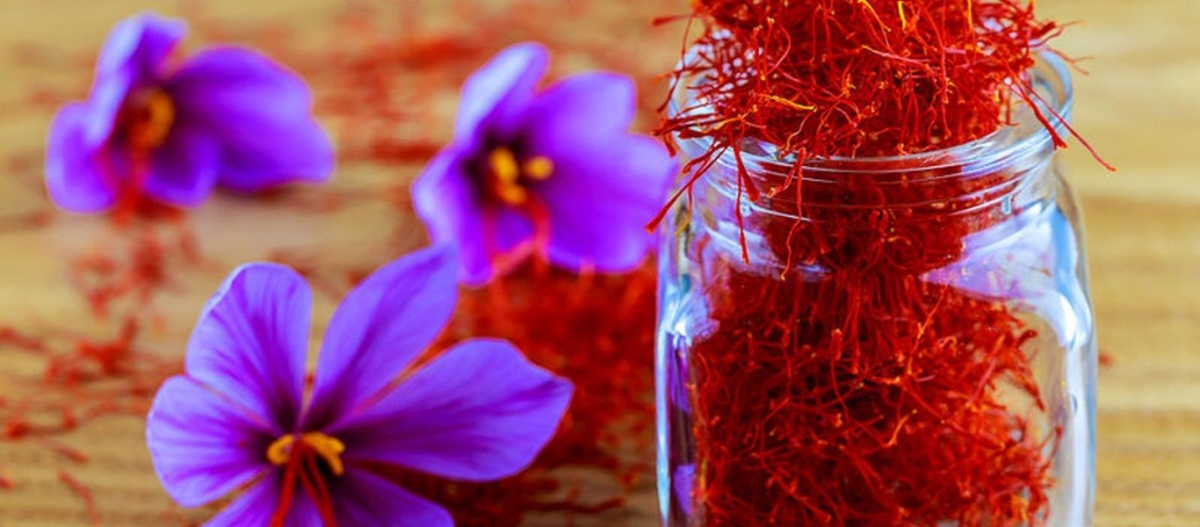 Αρχαίο ελληνικό φάρμακο θα μπορούσε να μειώσει τους θανάτους από COVID-19 - Τι αποκαλύπτει έρευνα Ισραηλινού