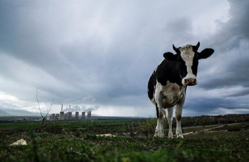 Δίκαιη Μετάβαση
