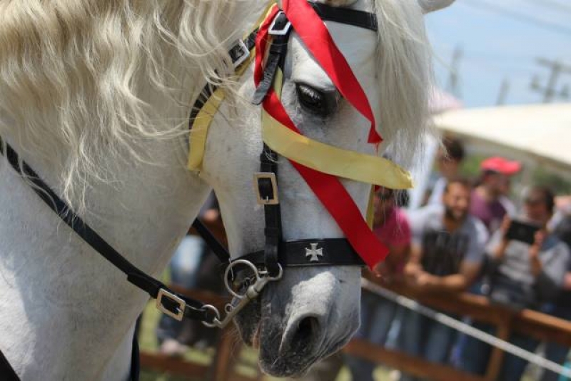 Nαύπακτος: Εντυπωσιακή η 8η Ιππική εκδήλωση για 3.000 θεατές