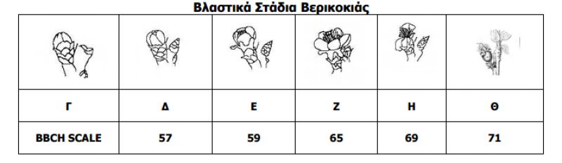 Εποχιακές συμβουλές για τις δενδρώδεις καλλιέργειες