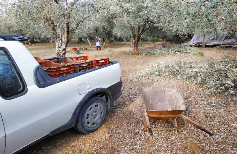 Διαδικασία ανάκτησης των αχρεωστήτως ή παρατύπως καταβληθέντων ποσών και οφειλών