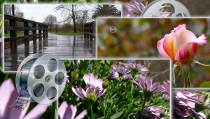 Rain, After the rain, Spring time (Τρία θαυμάσια Καλλιτεχνικά Βίντεο)