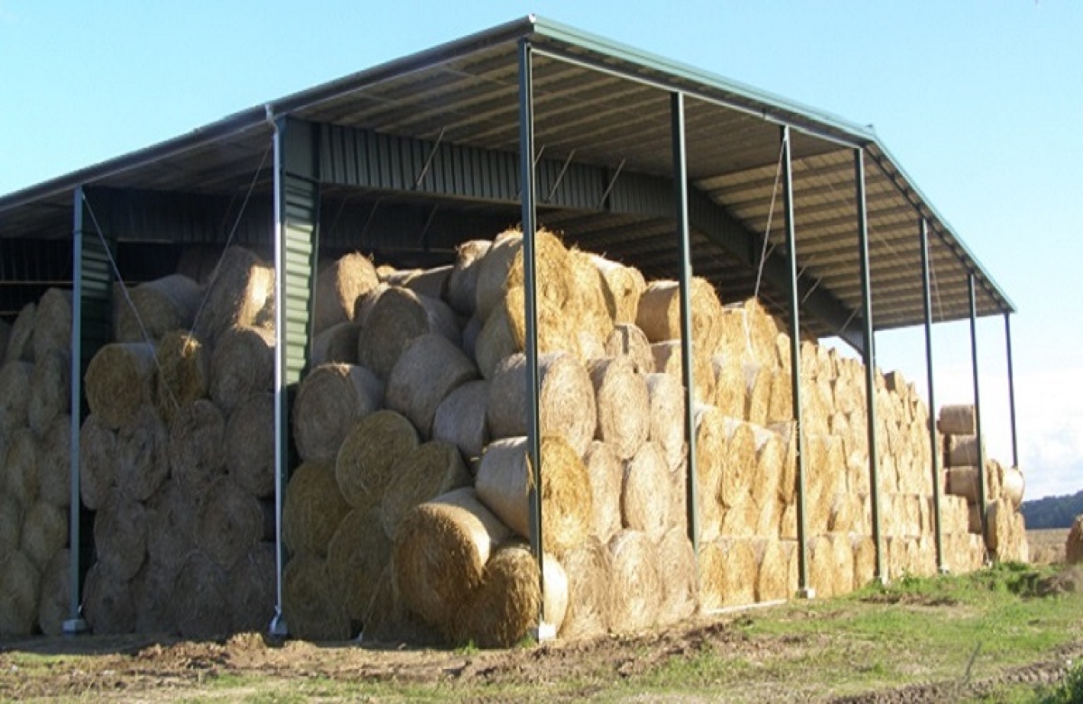 Δράση 4.1.5: ο πίνακας με τους 210 δικαιούχους στη Δυτική Ελλάδα