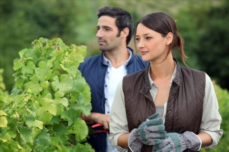 Γυναικεία αγροτική επιχειρηματικότητα και ανάπτυξη της ελληνικής υπαίθρου