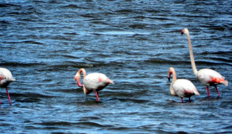 «Μικροπράγματα» – Tο νέο τραγούδι του Κωστή Μαραβέγια