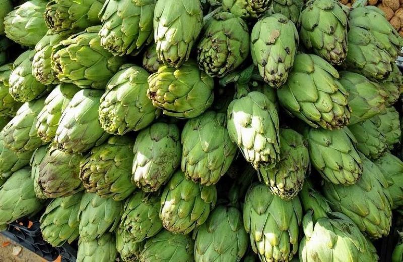 Η Αγκινάρα Ιρίων αναγνωρίστηκε ως το  107ο ελληνικό ΠΟΠ/ΠΓΕ προϊόν