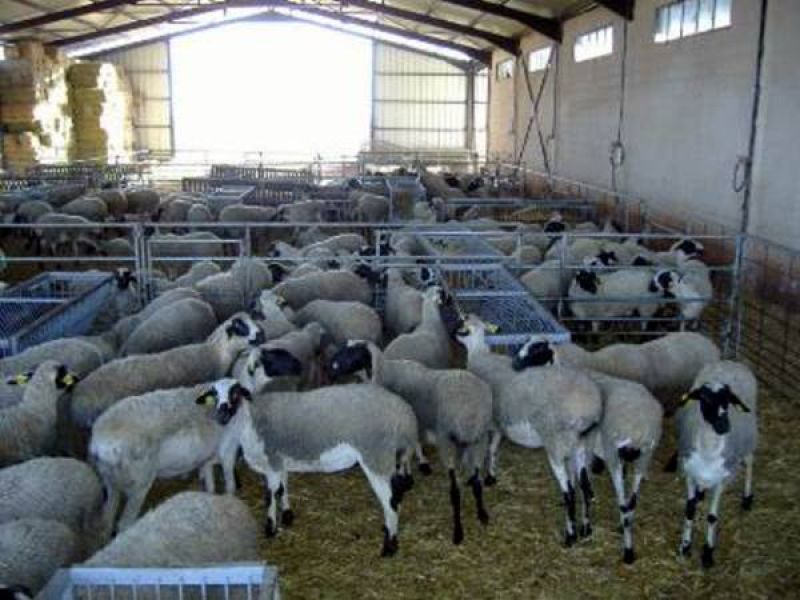 Το απόγευμα ξεκινά η πίστωση των 239 εκατ. για την εξισωτική 2017