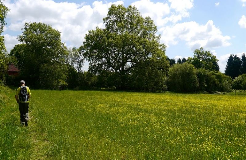 Συμψηφισμός ή επιστροφή αχρεωστήτως καταβληθεισών εισφορών ΕΦΚΑ