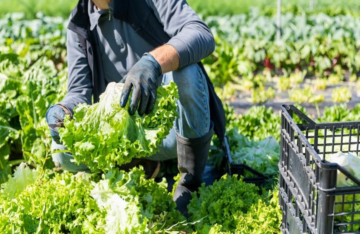 Ποια προγράμματα «τρέχουν»