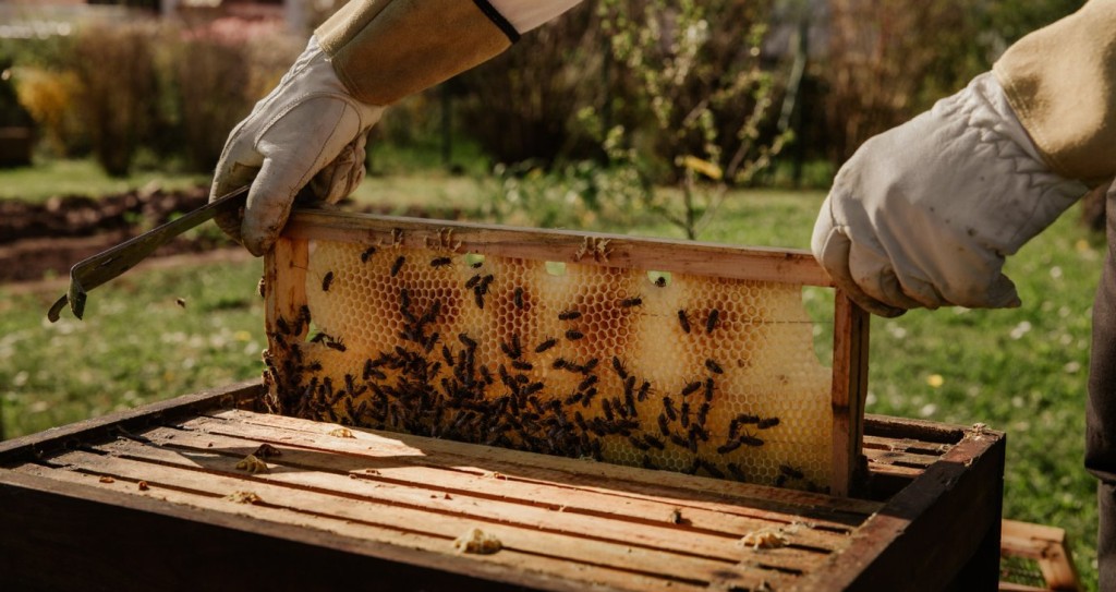 Αιτωλοακαρνανία: Οι μελισσοκόμοι περιμένουν τις πληρωμές