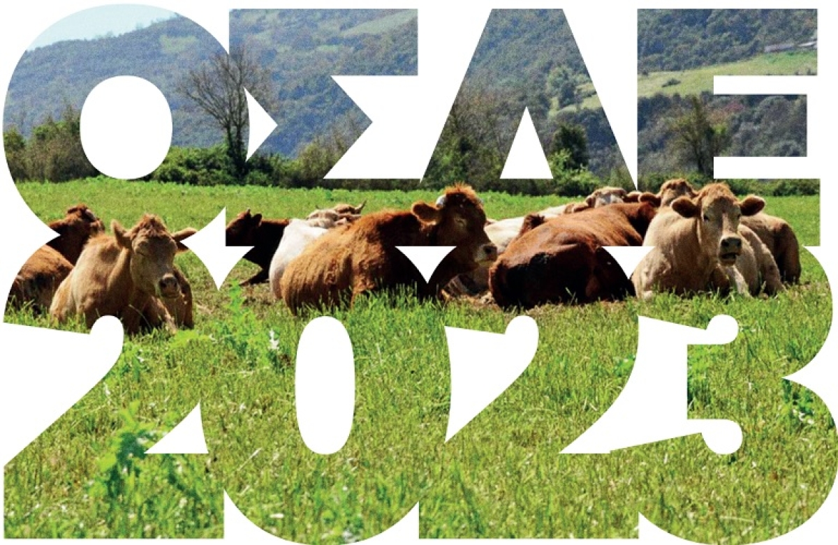 Ξεκίνησαν οι αιτήσεις για διορθώσεις – τροποποιήσεις Ενιαίας Ενίσχυσης 2023