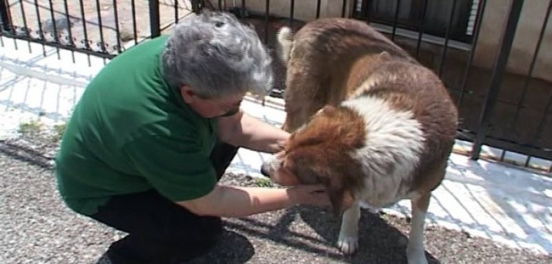 Θέρμο – Άνω Μυρτιά: Η συγκινητική ιστορία του “Καραούλη” (βίντεο + φωτο)