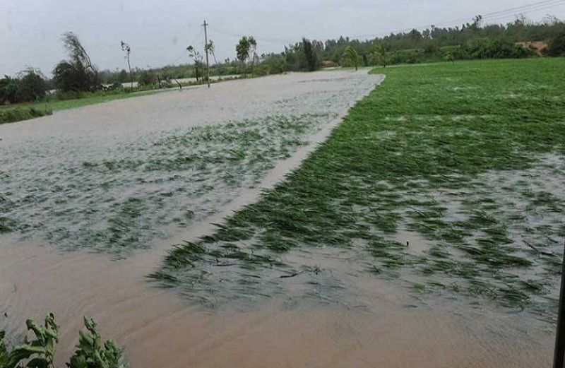 Διερευνητική συνάντηση με γερμανική ασφαλιστική εταιρεία