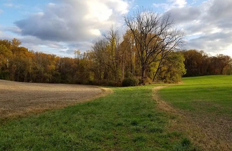Νέα πληρωμή από τον ΟΠΕΚΕΠΕ