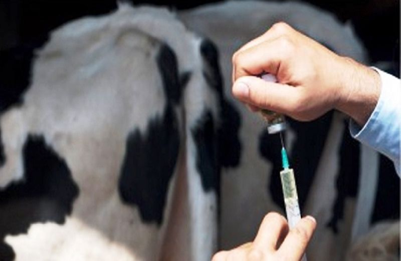 Έρχονται οι αποζημιώσεις από την επιβολή των κτηνιατρικών μέτρων εξυγίανσης