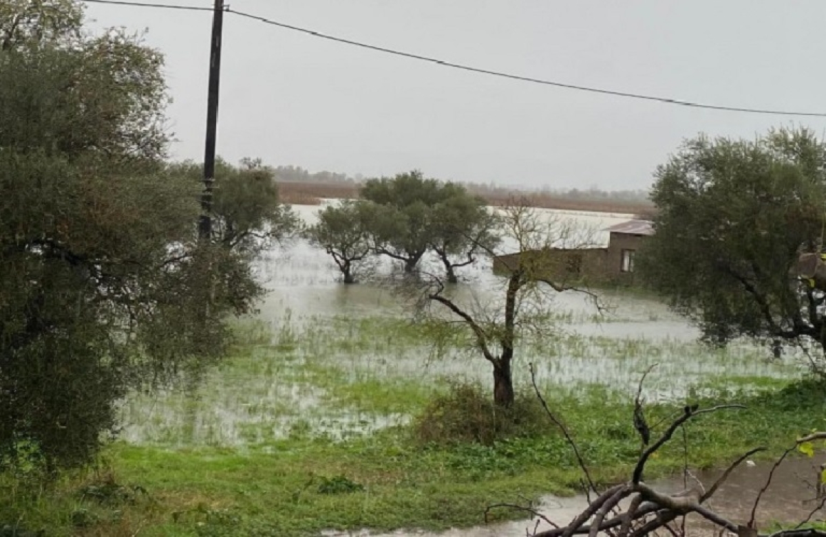 Άνοιξε ο δεύτερος κύκλος της πρώτης αρωγής για τους αγρότες