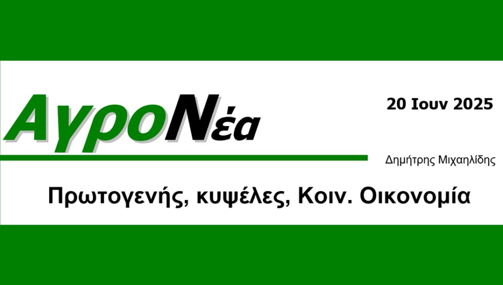 Πρωτογενής, κυψέλες, Κοινωνική Οικονομία