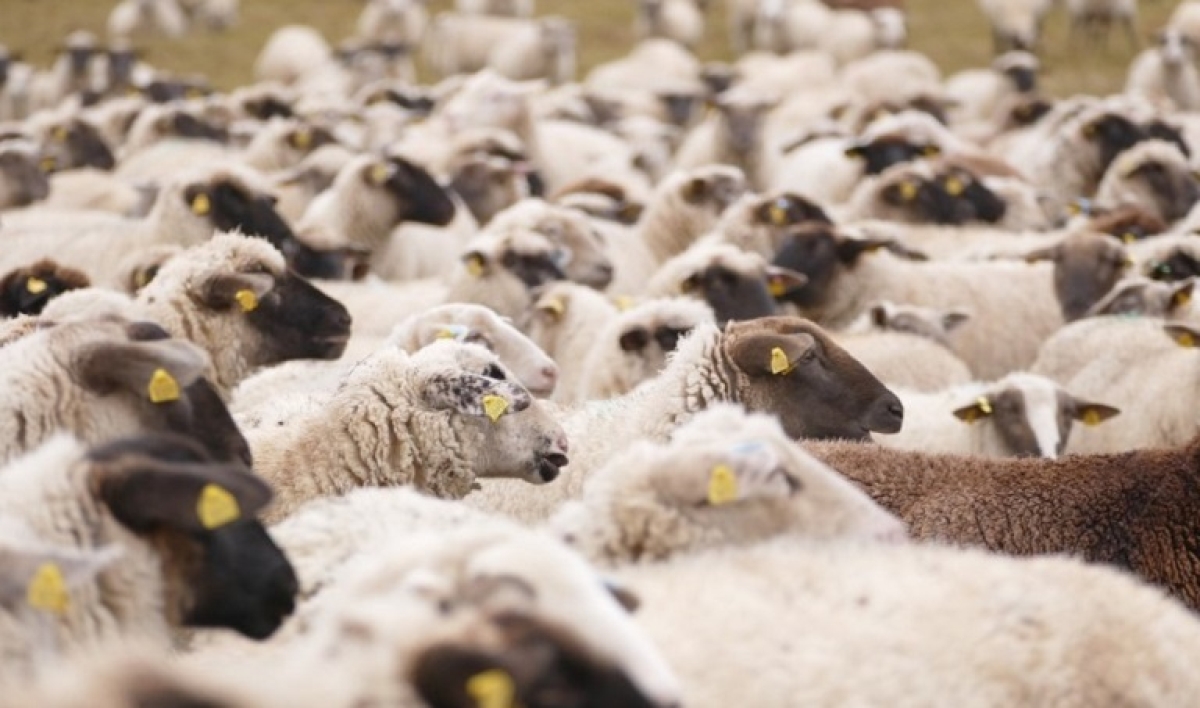 Νέες αλλαγές για το Μέτρο 22