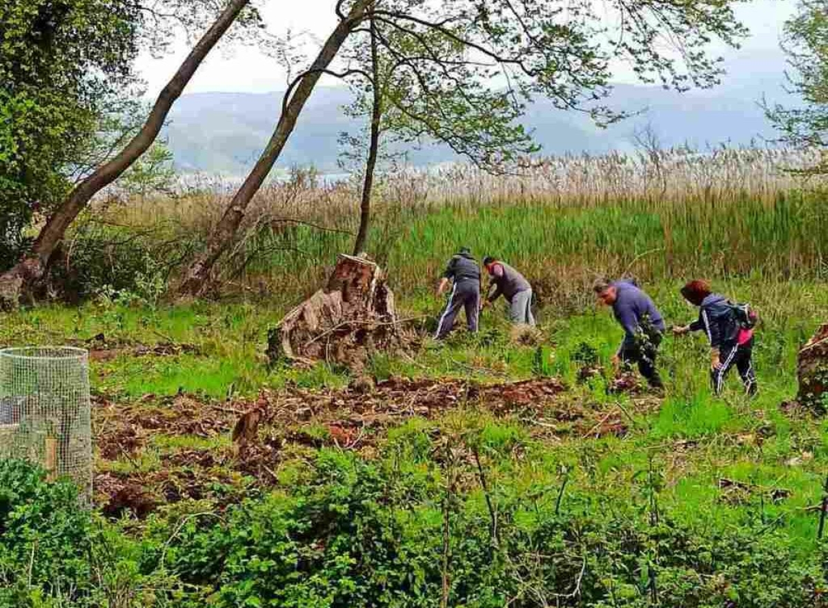 Παντάνασσα Αγρινίου: Η προσπάθεια αναγέννησης του δασυλλίου του Σκλήθρου (φωτο)