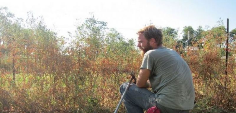 2η πρόσκληση του προγράμματος για τους νέους αγρότες ύψους 26,67 εκατ. €