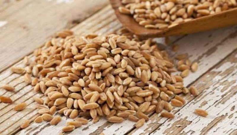 Ζέα: Μια υπερτροφή των αρχαίων Ελλήνων ή ένας νεοελληνικός διαδικτυακός μύθος;