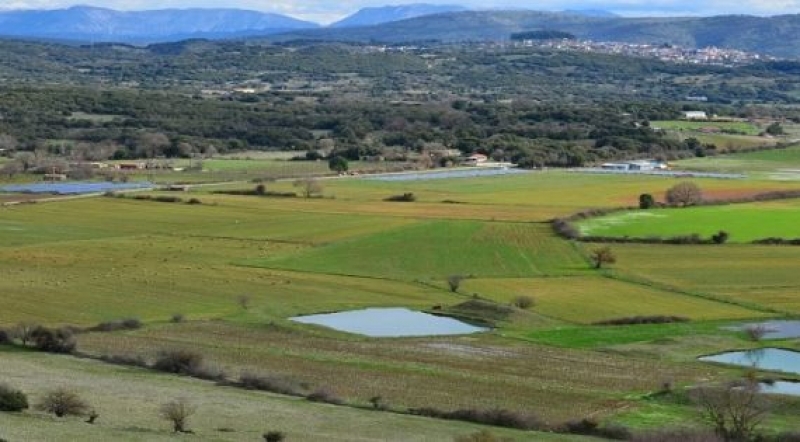Πρόσληψη 5 Γεωπόνων στο Μεσολόγγι