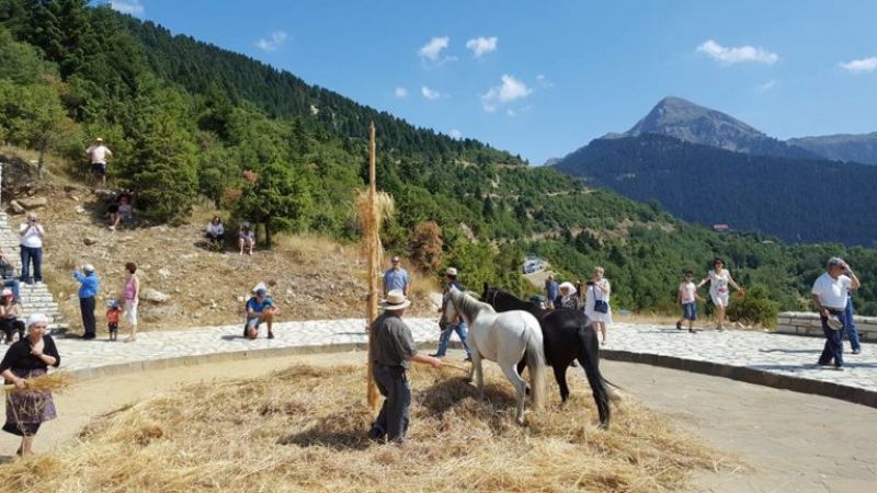 ο Αλώνισμα στην Κόνισκα (φωτο)