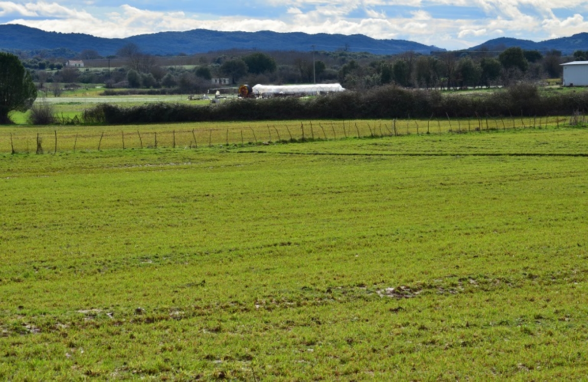 Πολλαπλή Συμμόρφωση: Μέχρι 20 Φεβρουαρίου οι βεβαιώσεις