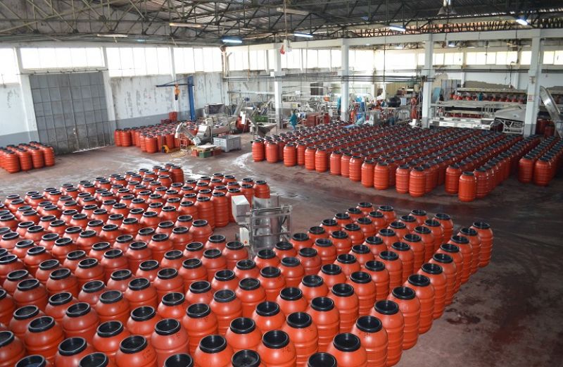 Ένωση Αγρινίου: καινοτόμο πρόγραμμα για τη βρώσιμη ελιά