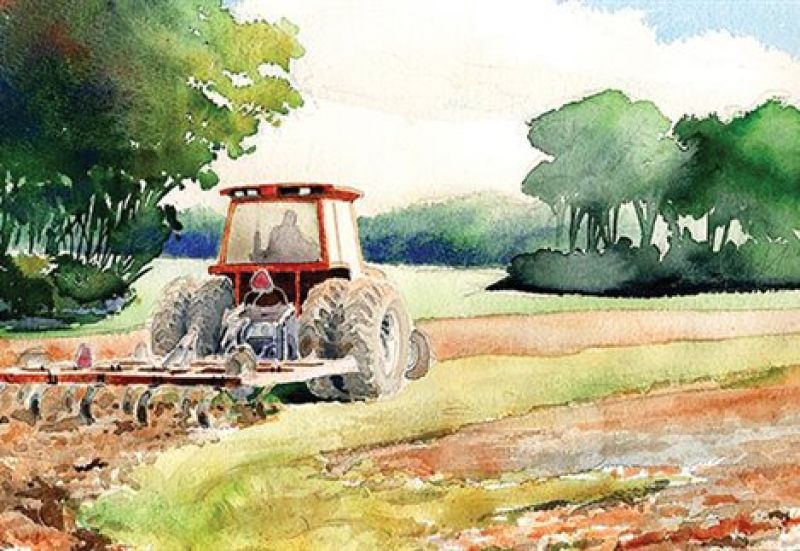 Από 21 Δεκεμβρίου ηλεκτρονικά οι αιτήσεις στα Σχέδια Βελτίωσης