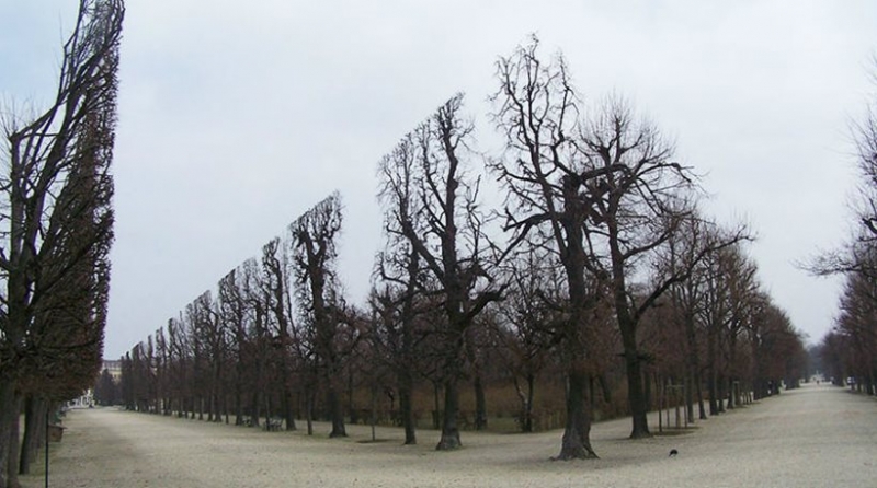 25 φωτογραφίες που σου «καίνε» τον εγκέφαλο