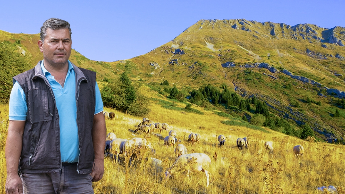 Το κοπάδι του Σάκη | Η ζωή στο βουνό