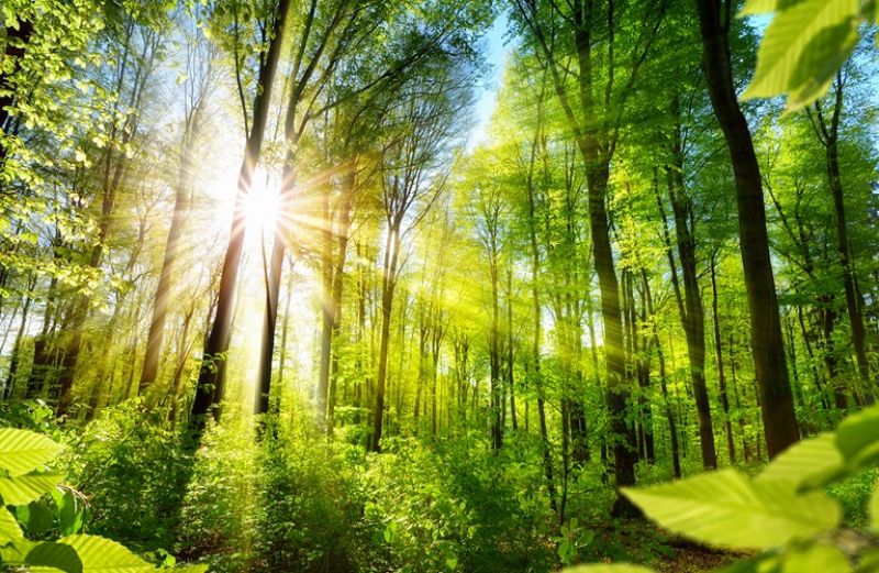 Δεσμευτικοί στόχοι για τη βιοποικιλότητα