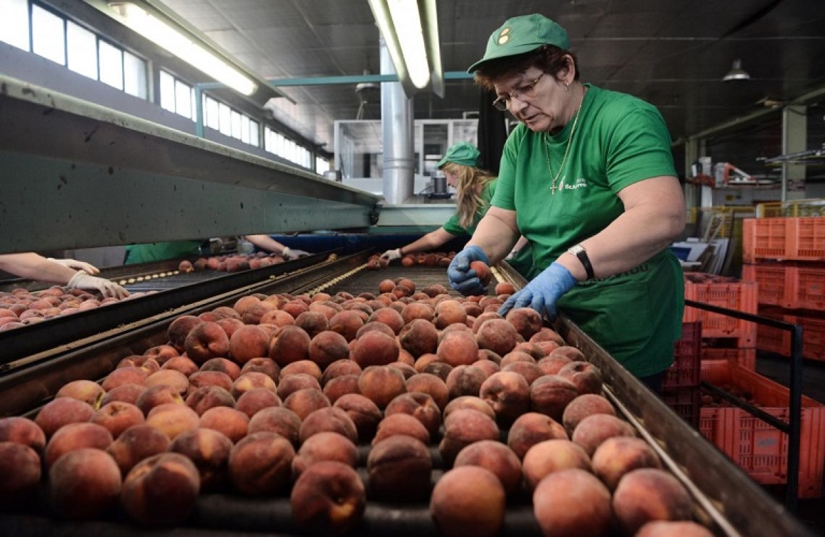 Υπεγράφη η 2η Προκήρυξη για τη «Μεταποίηση – Εφοδιαστική Αλυσίδα»