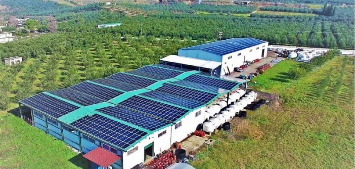 Πρόσκληση εκδήλωσης ενδιαφέροντος για την εκμίσθωση εργοστασίου τυποποίησης – συσκευασίας βρώσιμων ελαιών στη θέση παραλία Σταμνάς Μεσολογγίου