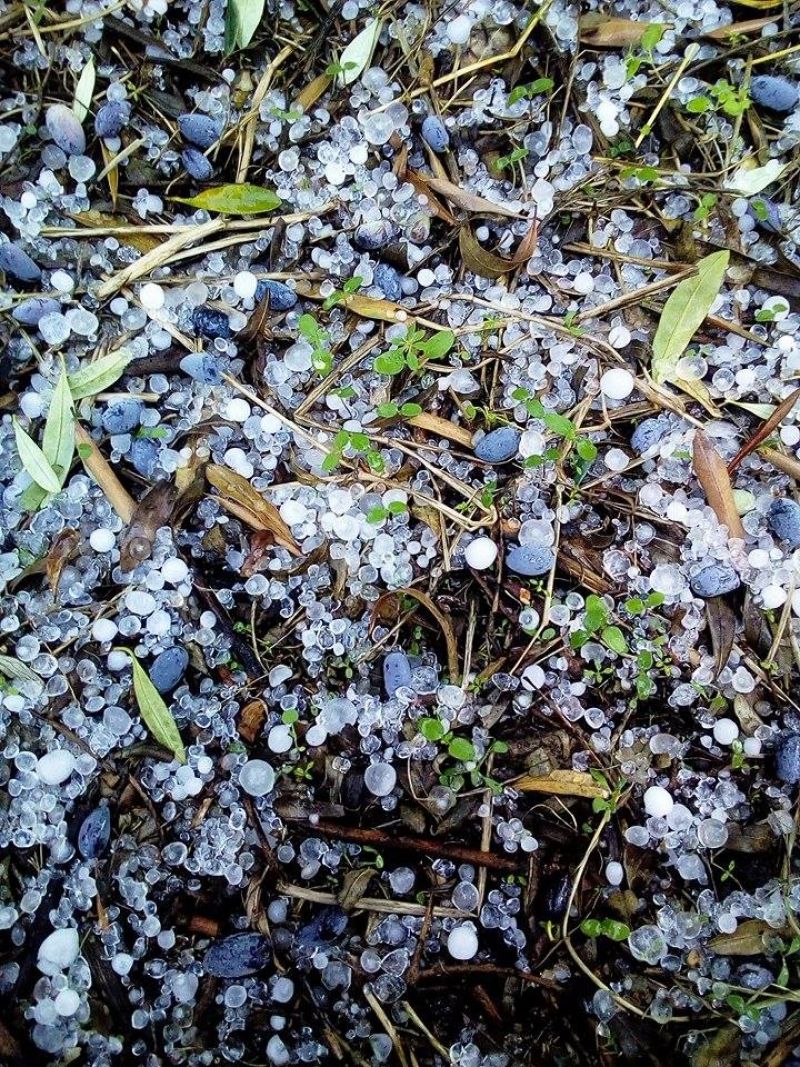 Δηλώσεις Ζημίας από την χαλαζόπτωση στα δημοτικά καταστήματα Οινιαδών και Αιτωλικού