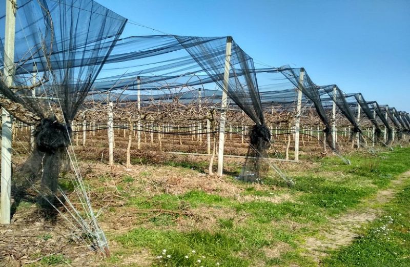 Εθνικό Απόθεμα: Μέχρι 28 Φεβρουαρίου οι αιτήσεις αναθεώρησης