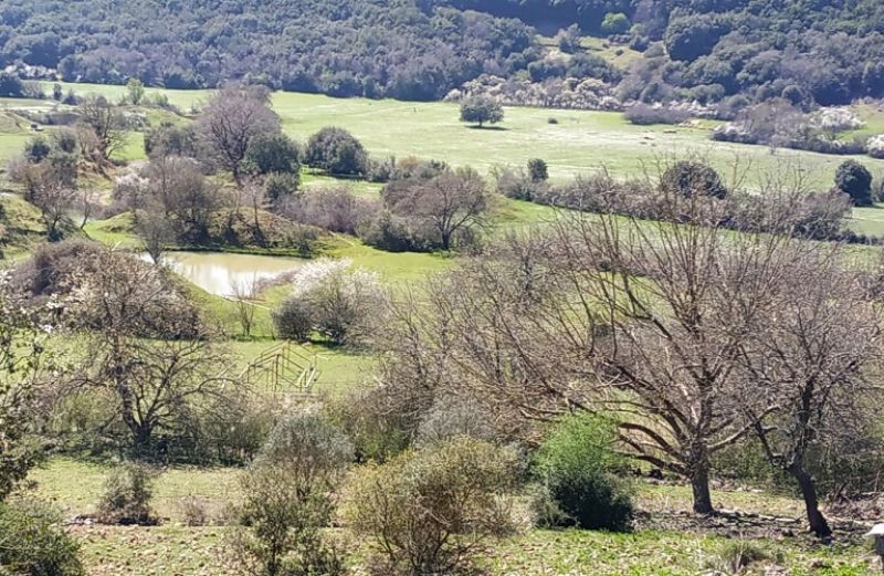 Υποβολή προτάσεων προς τον ΕΛ.Γ.Α.