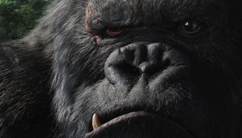 Οι πιο συναρπαστικές ταινίες επιστημονικής φαντασίας που ανυμονούμε να δούμε το 2017 (φωτό, βίντεο)