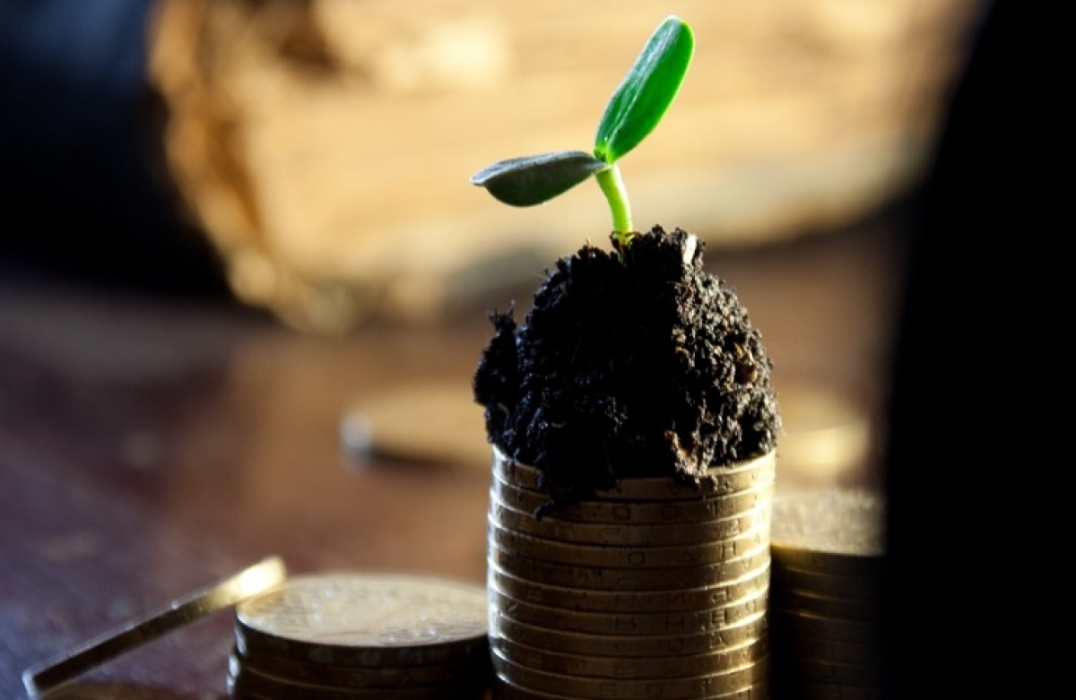 Σε ΦΕΚ η ενίσχυση σε παραγωγούς αχλαδιών, καπνού, κρόκου, σπαραγγιών, κορινθιακής σταφίδας και μελιού