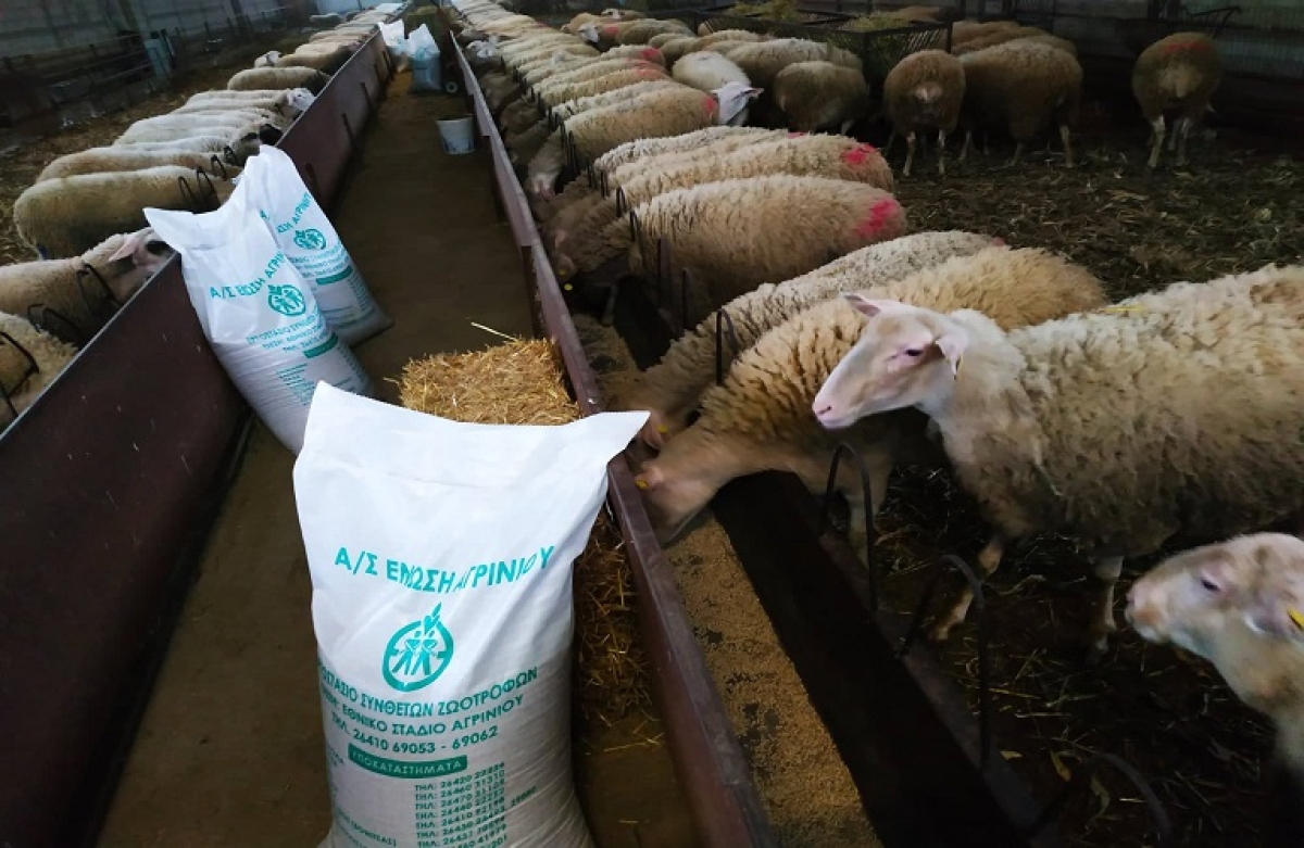 Ενίσχυση για ζωοτροφές: υπεγράφη η απόφαση ένταξης