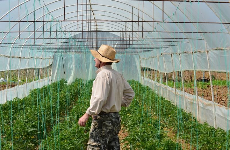 Σχέδια Βελτίωσης: Διευκρινίσεις σε 9 ερωταπαντήσεις