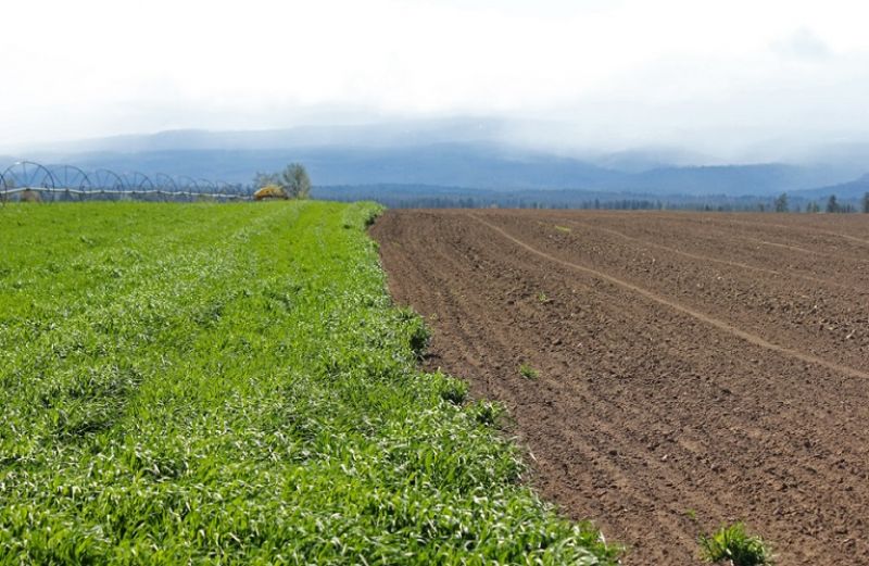 ΟΠΕΚΕΠΕ: Νέα πληρωμή 974 χιλ. ευρώ