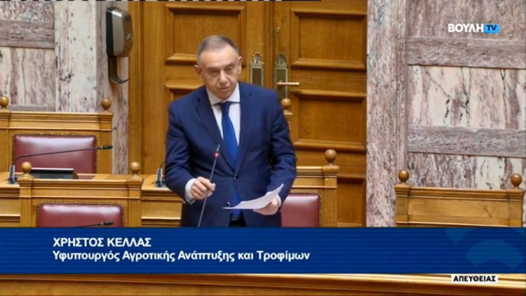 Απάντηση ΥφΑΑΤ, Χρήστου Κέλλα σε επίκαιρη ερώτηση της Βουλευτή του ΠΑΣΟΚ, Κατερίνας Καζάνη